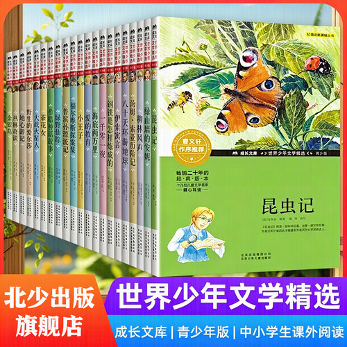 世界名著精选儿童文学非注音版