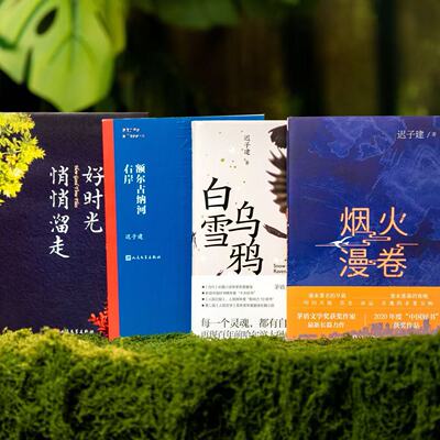 搜书正版好时光悄悄溜走 额尔古纳河右岸 白雪乌鸦 烟火漫卷 迟子建作品集