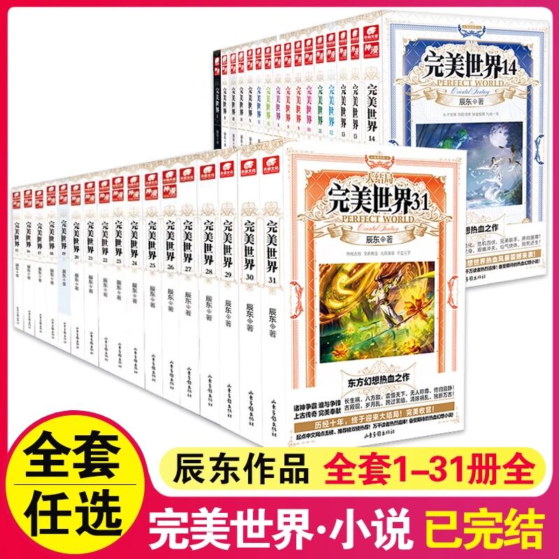 【官方正版】完美世界小说全套2-29-30-31册全集（已完结）辰东人气玄幻小说完美世界东方幻想热血之作 中南天使