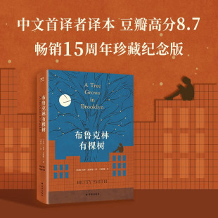 适合12 力量 40岁 即使处境再艰难也要寻找向上 外国文学小说书籍 青年读者 布鲁克林有棵树