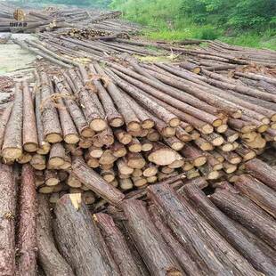 湖南松木桩杉木桩建筑木方河道防洪原木工程打桩木木板材实木耐腐