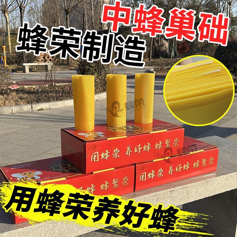 蜂荣巢础中蜂巢础正品厂家直销深房巢基巢脾蜜蜂专用蜡片养蜂工具