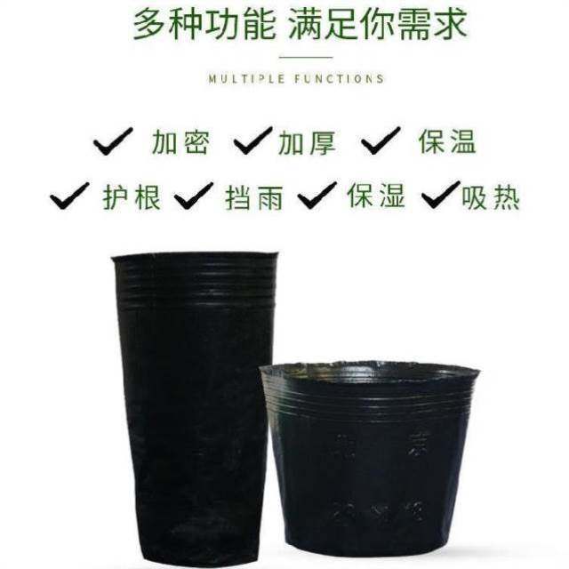 塑料育苗杯葡萄生长苗袋草花育秧防摔黑碗庭院碗装番薯育苗碗黄g