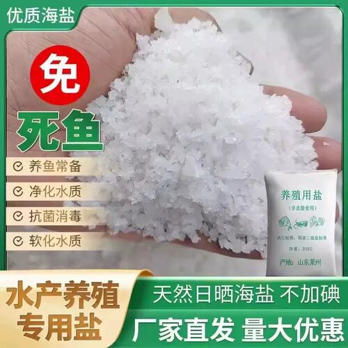 锦鲤用海盐改善水质渔塘用日晒盐
