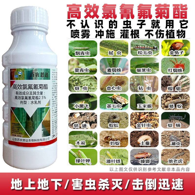 百农思达高效氯氟氰菊酯菜青虫