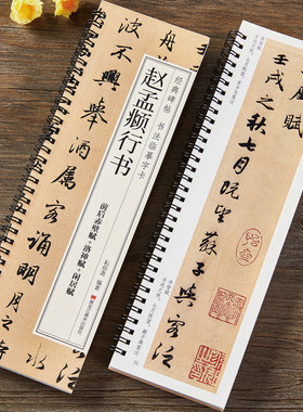 原大版 赵孟俯前后赤壁赋洛神赋闲居赋三帖行书毛笔书法字帖 赵孟頫行书毛笔字帖赵体经典碑帖书法近距离临摹字卡附简体旁注