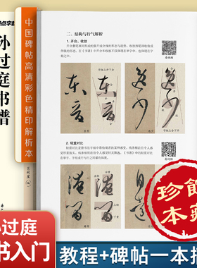 孙过庭书谱碑帖+教程 中国碑帖高清彩色精印解析本释文注释 繁体旁注 草书毛笔字帖碑帖毛笔书法字帖孙过庭草书毛笔字帖