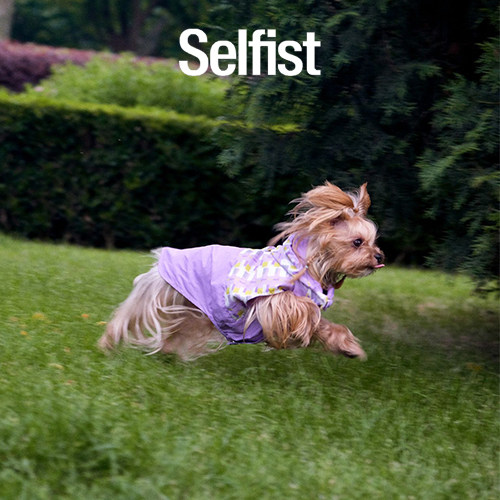 Selfist｜宠物猫狗灵缇惠比特腊肠比熊可拆卸帽四季户外背心雨衣