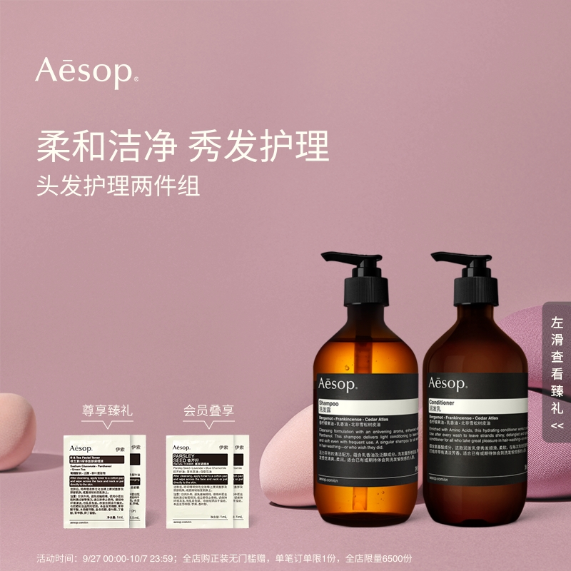 Aesop伊索头发护理两件组