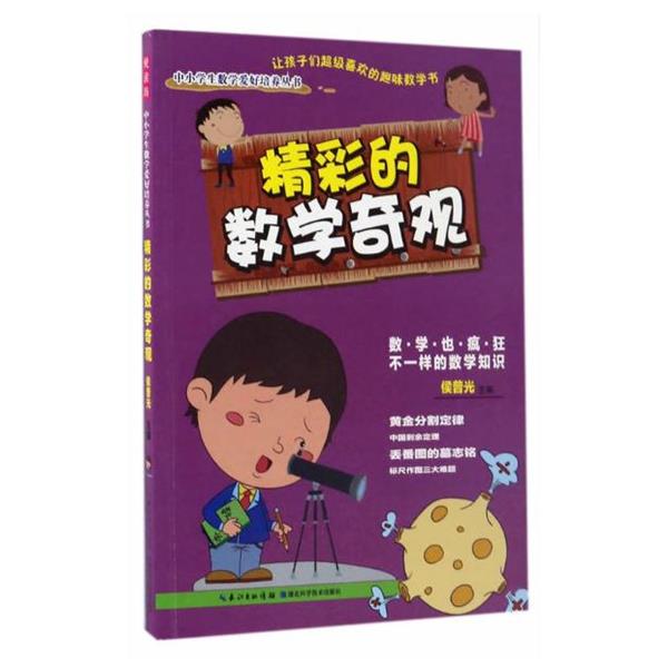 【正版书籍】 精彩的数学奇观 侯普光 湖北科学技术出版社