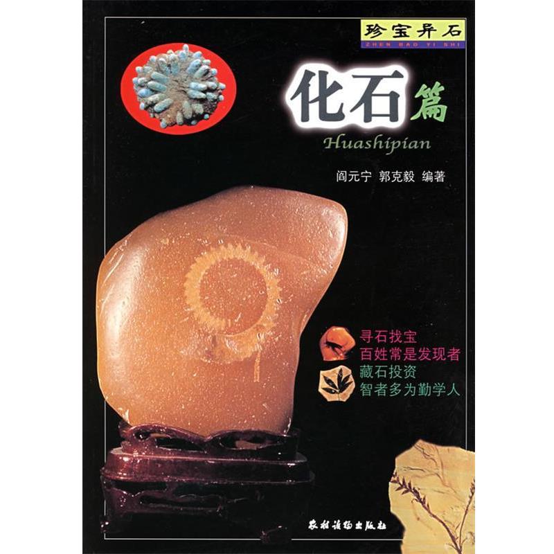 【正版书籍】 珍宝异石 阎元宁,郭克毅　编著 农村读物出版社