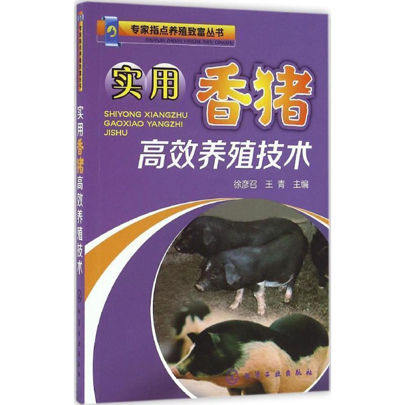 【正版书籍】 实用香猪高效养殖技术 徐彦召,王青 编 化学工业出版社