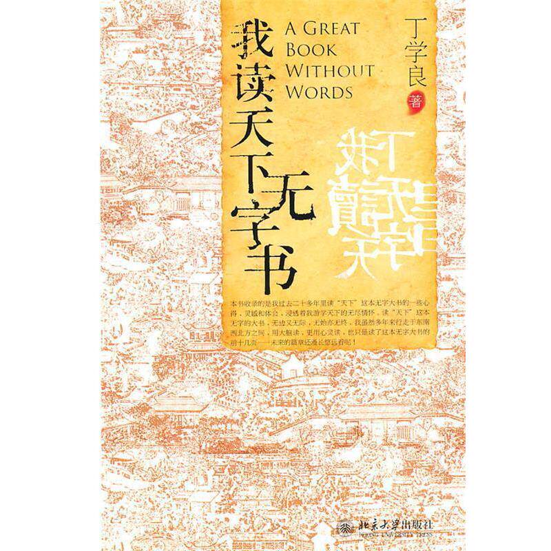 【正版书籍】 我读天下无字书 丁学良 北京大学出版社