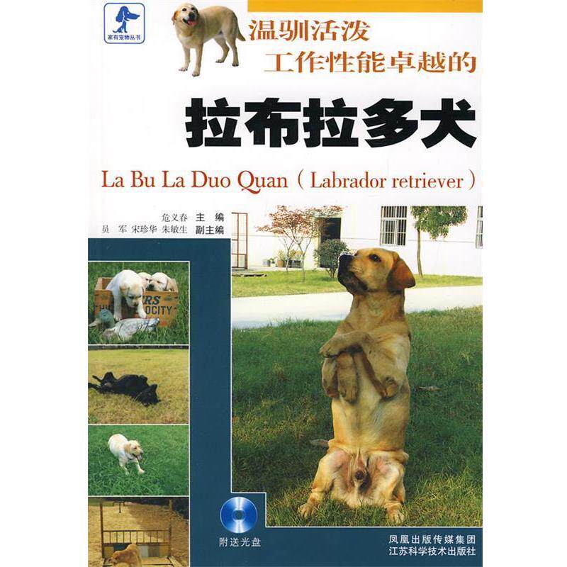 【正版书籍】 温驯活泼工作性能的拉布拉多犬 危义春 主编 江苏科学技术出版社