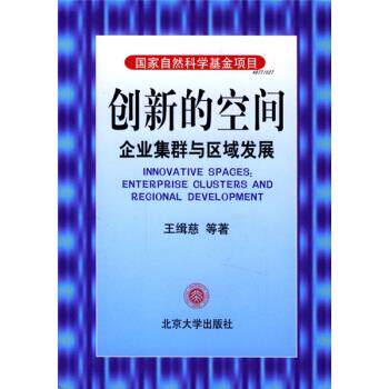 【正版书籍】 创新的空间:企业集群与区域发展 王缉蕊 等 著 北京大学出版社