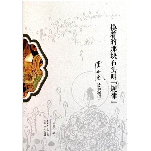 【正版书籍】 摸着的那块石头叫规律 卢延光　著 广东人民出版社