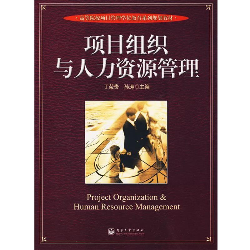 【正版书籍】 项目组织与人力资源管理 丁荣贵,孙涛 主编 电子工业出版社