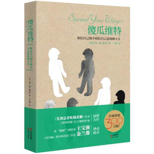 【正版书籍】 傻瓜维特 (美)乔辛·迪·波沙达 现代出版社