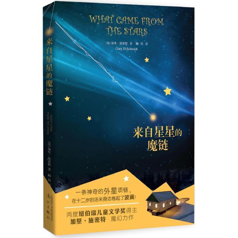 【正版书籍】 来自星星的魔链 (美) 加里施密特,柳筠 漓江出版社
