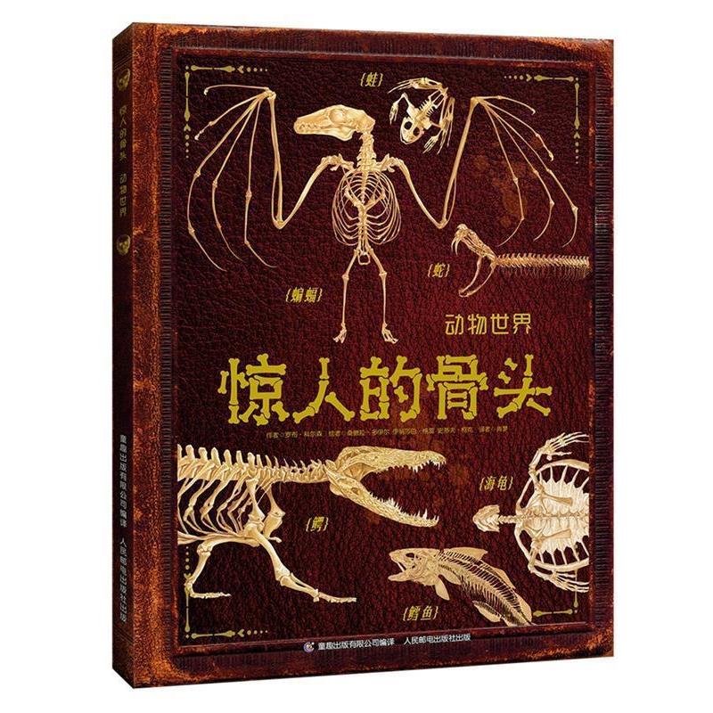 【正版书籍】 惊人的骨头:动物世界 罗布·科尔森 著,童趣出版有限公司 编 人民邮电出版社