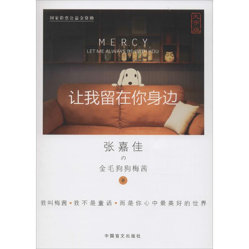 【正版书籍】 让我留在你身边-大字版 张嘉佳 中国盲文出版社