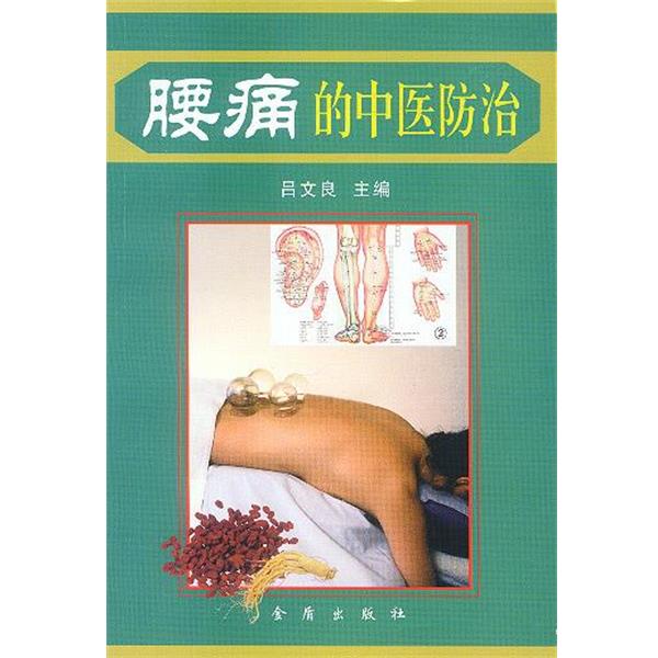 【正版书籍】 腰痛的中医防治 吕文良 主编,刘绍能 等编著 金盾出版社