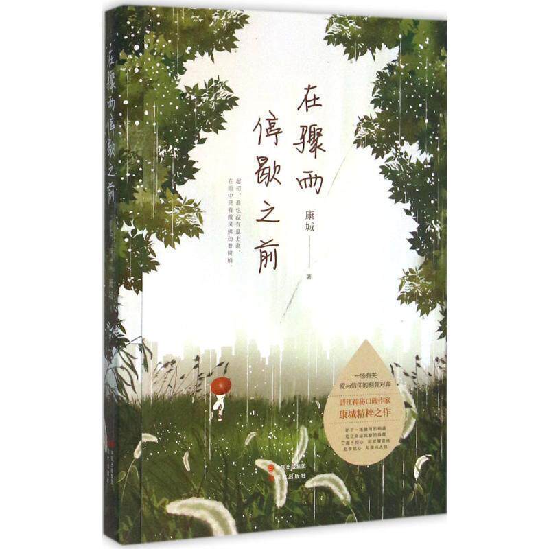 【正版书籍】 在骤雨停歇之前 康城 著 现代出版社