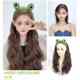 假发女长发发箍假发一体卷发全头套式 真发全真人发整顶自然假发片