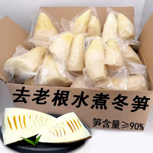 新鲜冬笋5斤装江西农家竹笋清水笋水煮笋尖春笋商用包邮