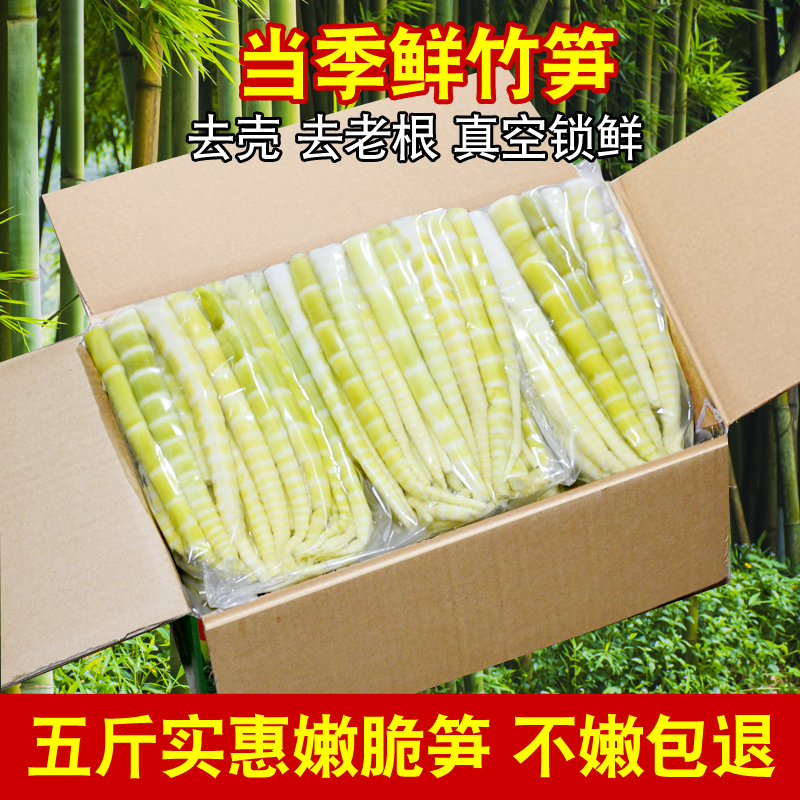 小竹笋尖新鲜罗汉笋尖农家自制笋春笋蔬菜火锅麻辣烫串串商用笋