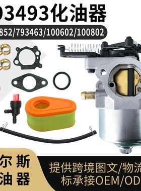 793493 792038 化油器 591852 793463 100602 100802 carburetor