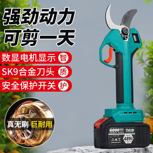瑞仕大艺电动树枝剪强力修枝剪刀家用充电式专用园林锂电剪枝神器