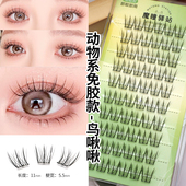 魔瞳驿站鸟系假睫毛美鼠了动物系自然日常妈生感胶水款 免胶网红