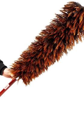 A real feather duster doesn't shed feathers真鸡毛掸子家