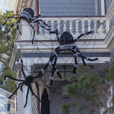 Black White Halloween Spider Web Giant Stchy Cobweb For