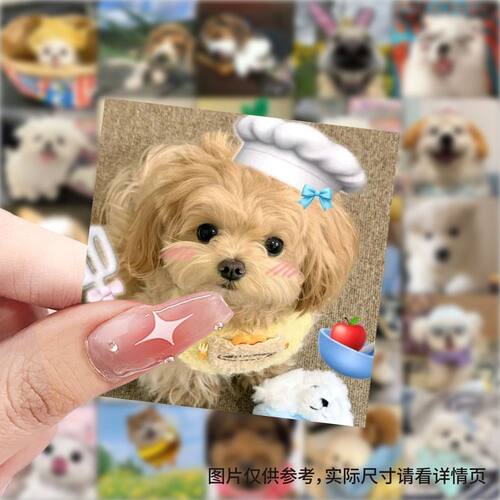 可爱修狗头像贴纸ins宠物治愈呆萌贴画手账素材diy手机笔记本装饰