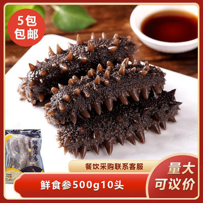 鲜食参500g10头鲜冻去脏刺参滋补海参海鲜水产冷冻餐饮特色宴席菜