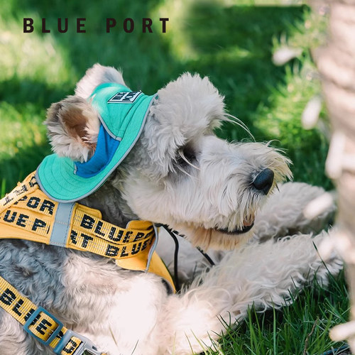 blueport防晒宠物帽子雪纳瑞狗狗