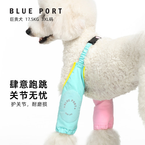 Blueport中小型犬拼色时尚护肘防泼水面料可调节背扣