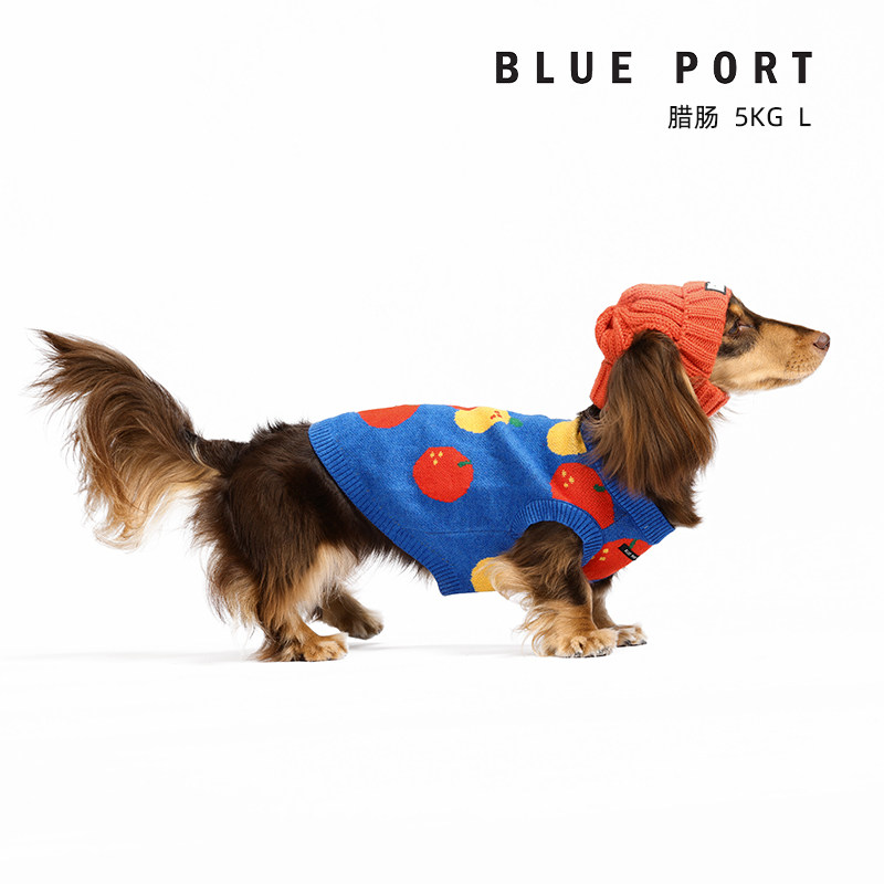 BluePort狗狗衣服橙子提花猫咪毛衣比熊雪纳瑞约克夏宠物马甲