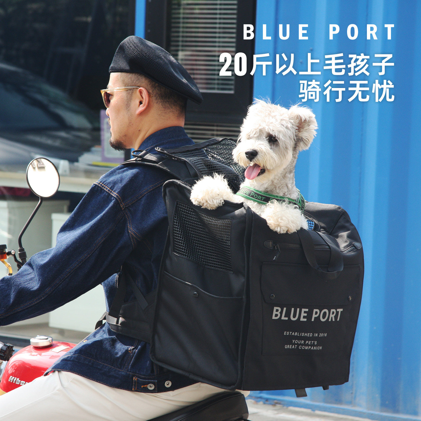 Blueport狗狗透气经典背包外出双肩宠物包狗狗出行神器便携骑行