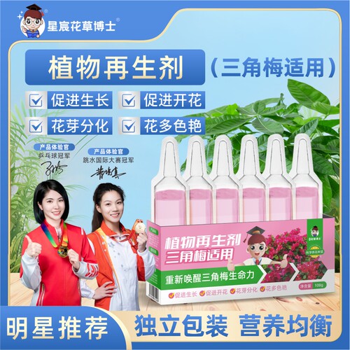 三角梅开花专用肥促花植物营养液