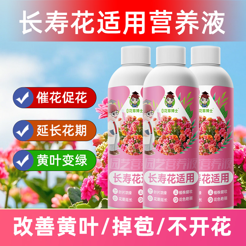 长寿花肥料开花养花促花长寿花专用肥料长寿花营养液营养颗粒肥