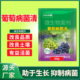 微生物菌剂葡萄专用杀菌剂果树软腐霜霉病炭疽病早疫病葡萄用药