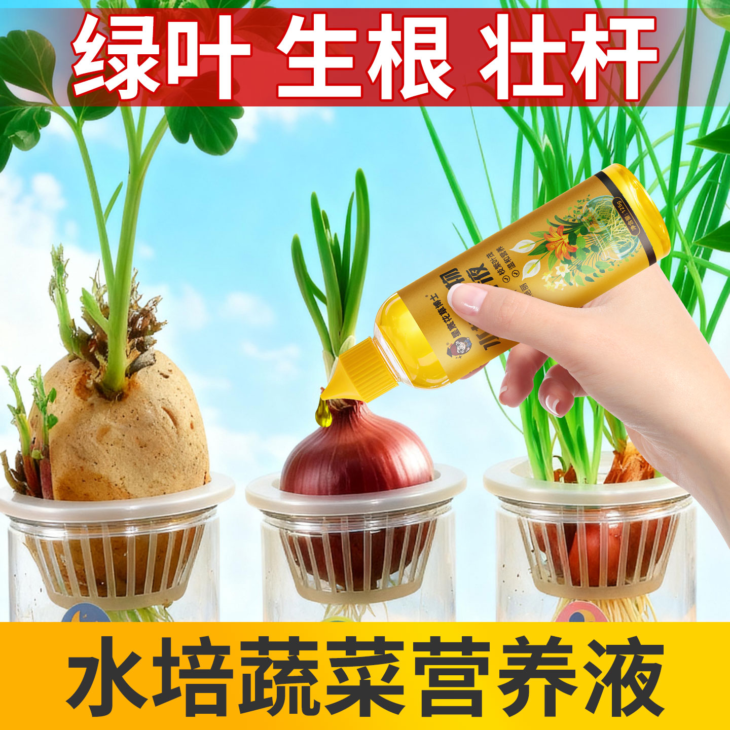 水培蔬菜大蒜洋葱营养液植物通用