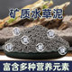 正品 矿质水草泥火山石鱼缸专用家用生态鱼缸造景底砂养莲花不掉粉