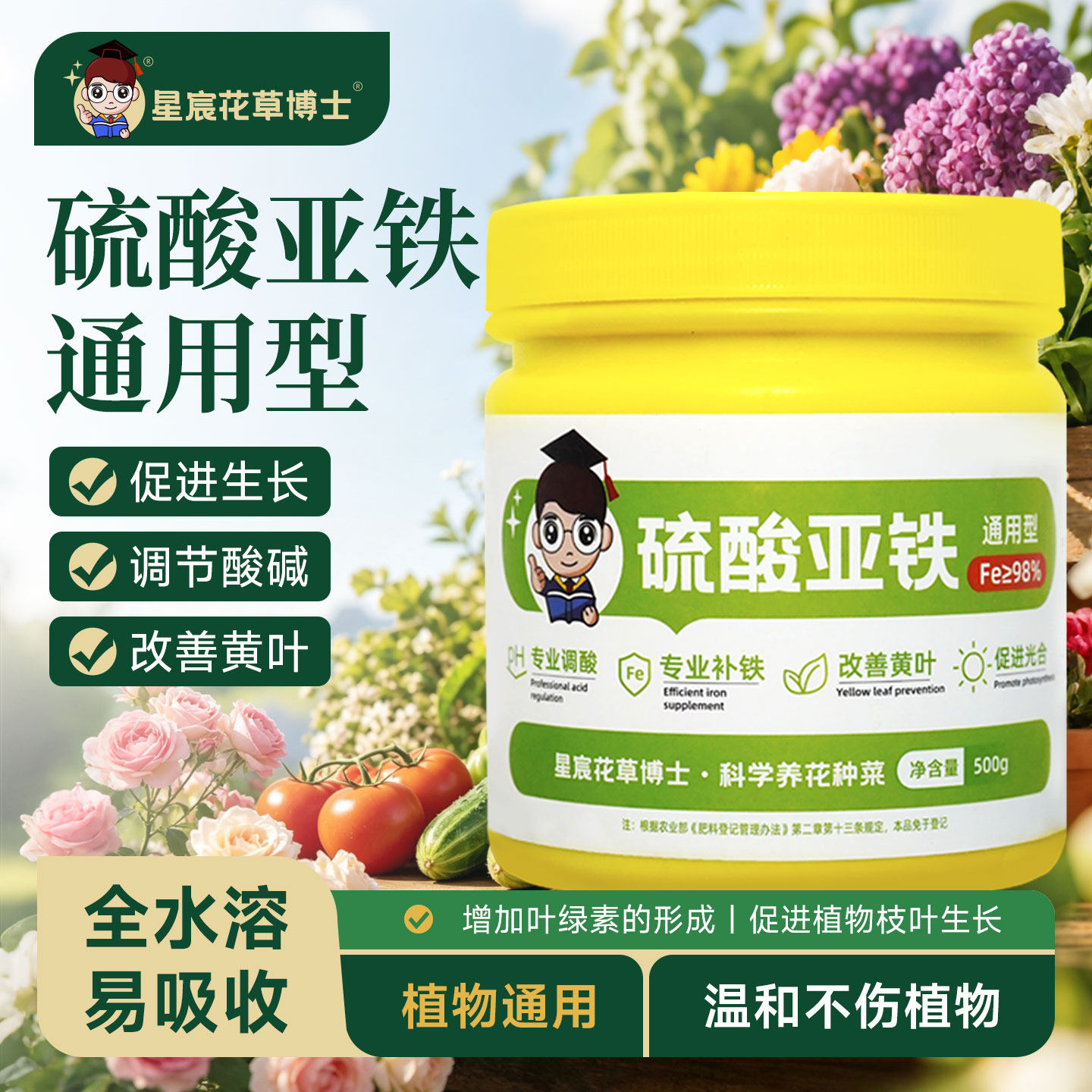 硫酸亚铁肥料花卉专用土壤补铁调酸通用园艺铁树绿植养花栀子花肥