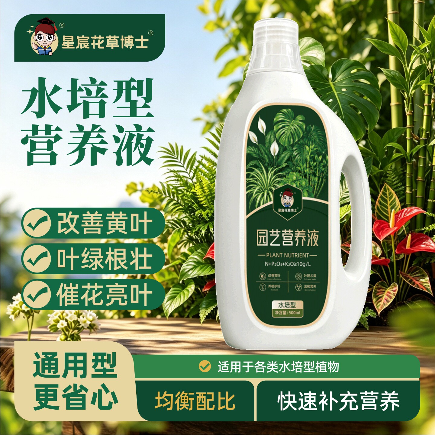 水培植物营养液富贵竹龟背竹绿萝图片