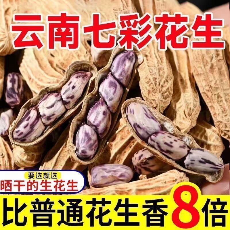 糖尿人专用食品血糖高吃无添加蔗糖云南七彩花生带壳花生年味小吃