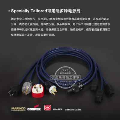 Gotham 85215 85225 86215 85025 高芬发烧电源线凯撒国标插头794